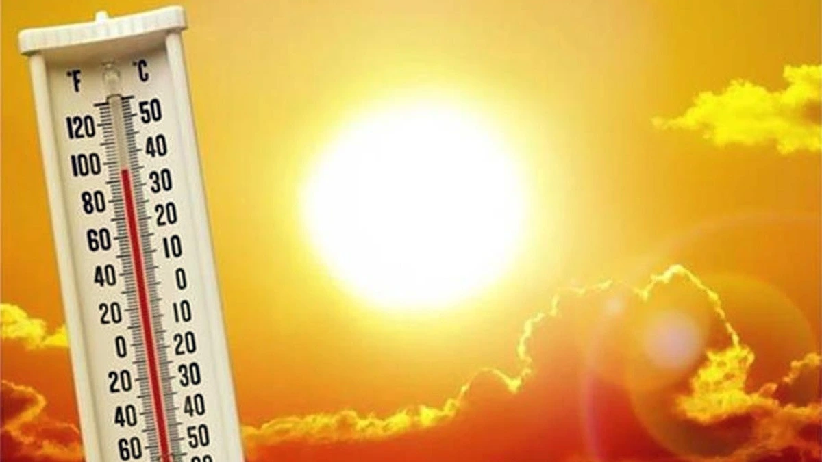 Haryana में भीषण गर्मी का कहर, 16 जिलों में अलर्ट जारी – जानिए IMD का नया पूर्वानुमान। Haryana में भीषण गर्मी का कहर, 16 जिलों में अलर्ट जारी – जानिए IMD का नया पूर्वानुमान।