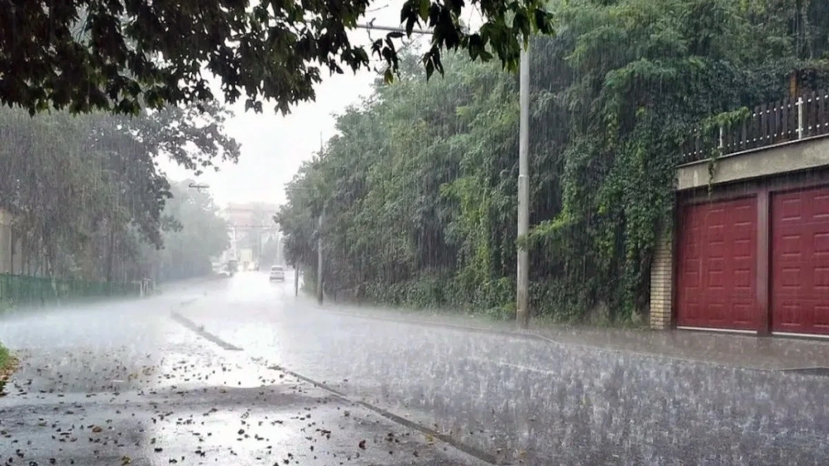 Haryana के 6 जिलों में आंधी और बारिश का अलर्ट, 60 किमी प्रति घंटे की रफ्तार से चल सकती हैं हवाएं।