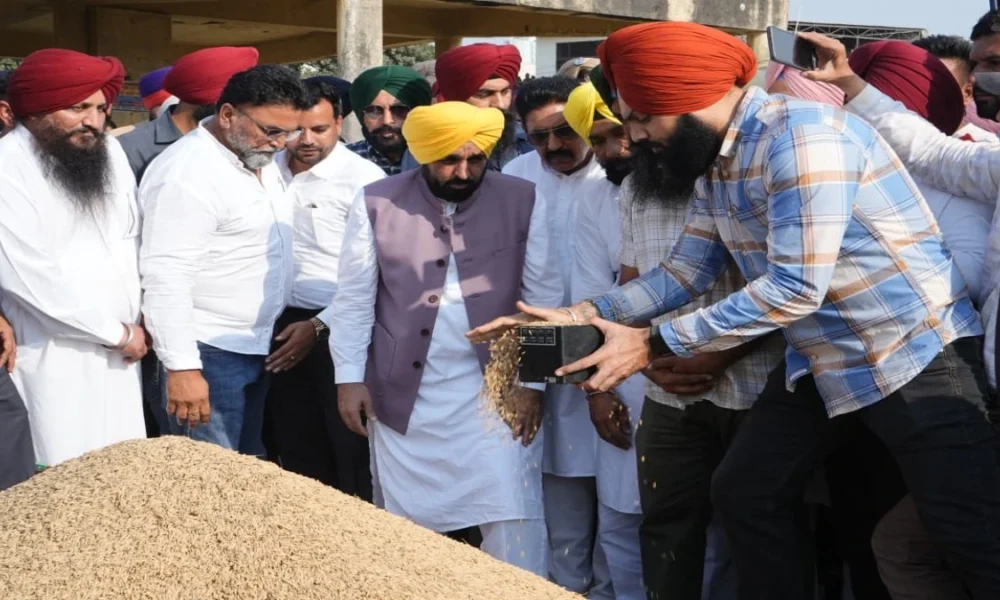 Chief Minister Bhagwant Mann बोले – अब तक 61.01 lakh metric tonnes paddy खरीदा गया, किसानों को ₹13,073 crore का भुगतान