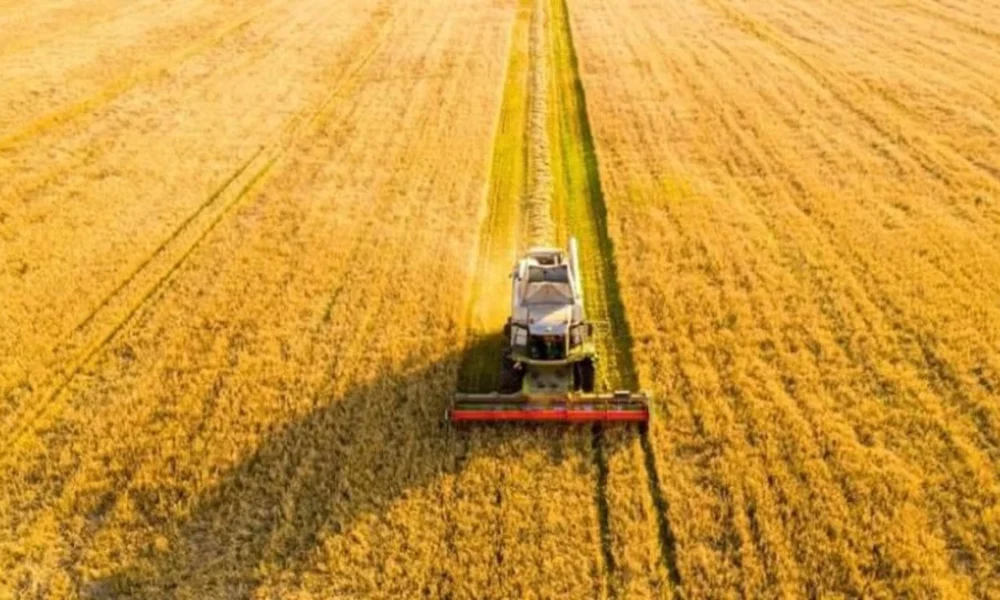 Punjab में पराली जलाने की Incidents में 75% गिरावट, फिर भी Delhi Pollution के लिए Punjab के किसान क्यों निशाने पर?