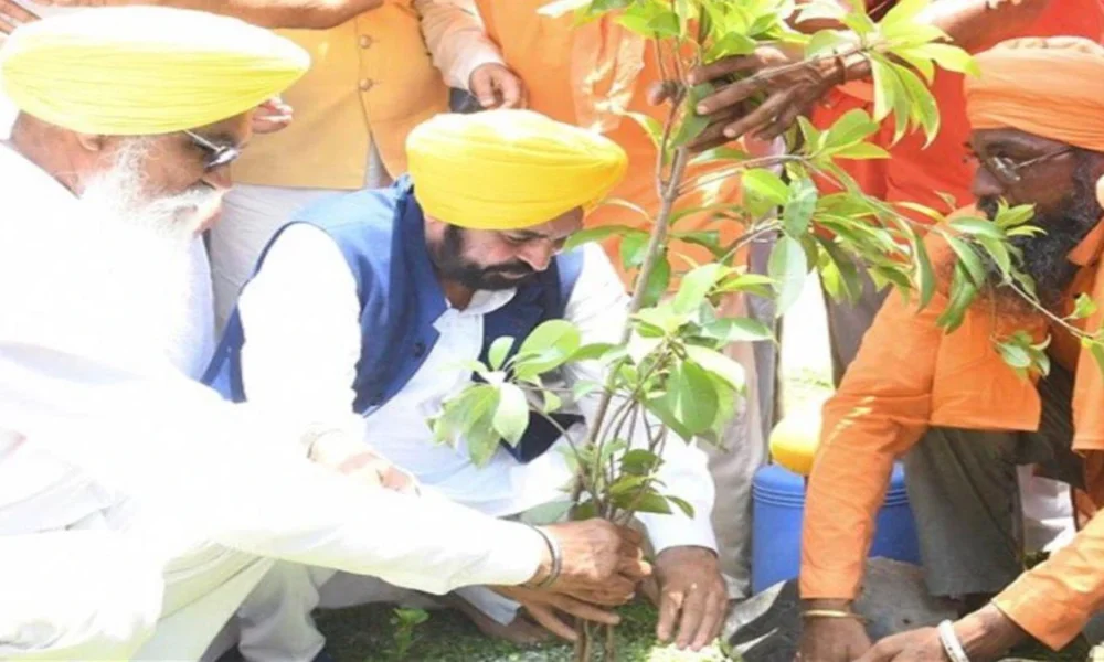 Punjab में हरियाली की नई क्रांति: Mann सरकार ने बढ़ाया Tree Cover 177.22 Square Kilometers तक!
