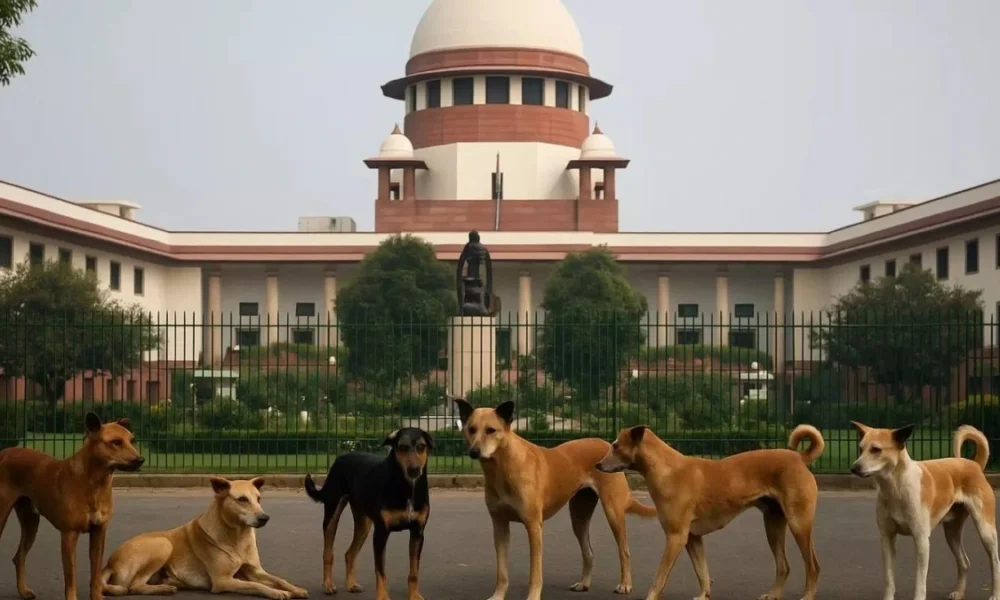 Supreme Court का बड़ा फैसला: अब सड़कों पर नहीं दिखेंगे आवारा कुत्ते, 8 हफ्तों में कार्रवाई का आदेश