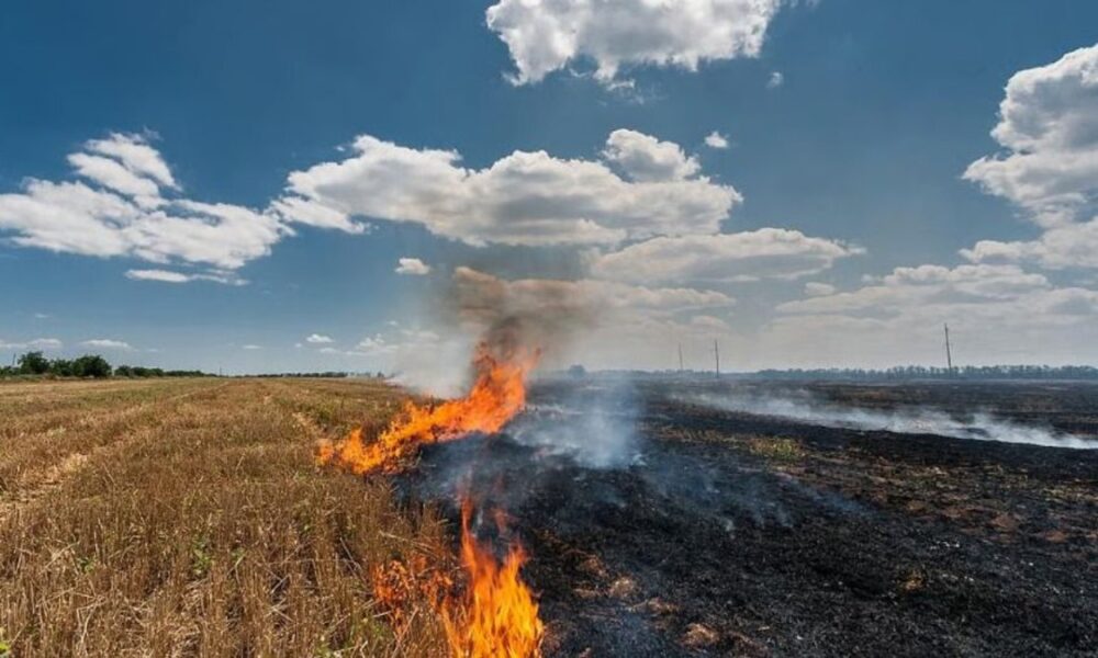Central Government ने की Mann सरकार की सराहना, Punjab की सफ़लता, किसानों के सहयोग से Stubble Burning Incidents में 85% की ऐतिहासिक गिरावट Central Government ने की Mann सरकार की सराहना, Punjab की सफ़लता, किसानों के सहयोग से Stubble Burning Incidents में 85% की ऐतिहासिक गिरावट