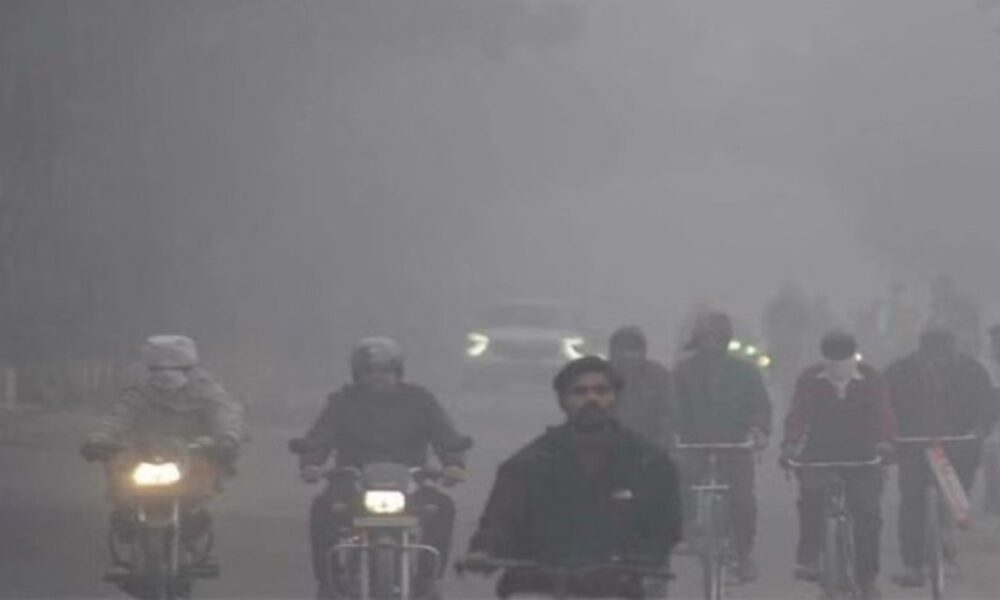पंजाब के 18 जिलों में आज घने कोहरे का अलर्ट:न्यूनतम पारा सामान्य से अधिक ,लुधियाना सबसे ठंडा