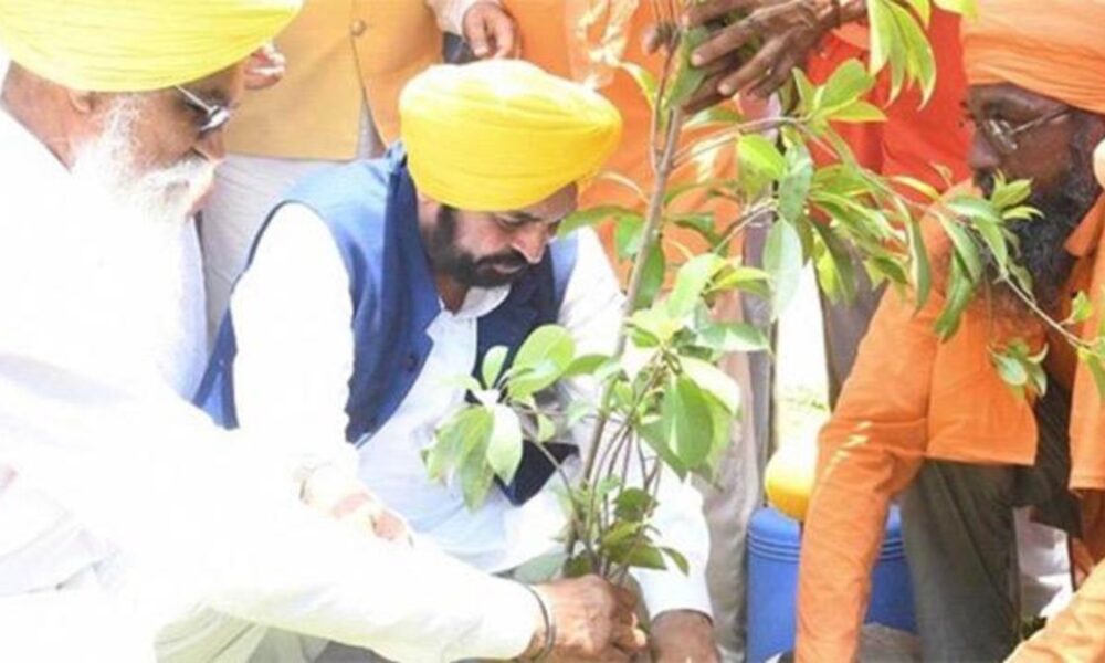 मान सरकार का ग्रीनिंग पंजाब मिशन :12,55,700 रिकॉर्ड वृक्षारोपण से पंजाब बना ग्रीन ज़ोन, राज्य की सबसे बड़ी पर्यावरणीय उपलब्धि!