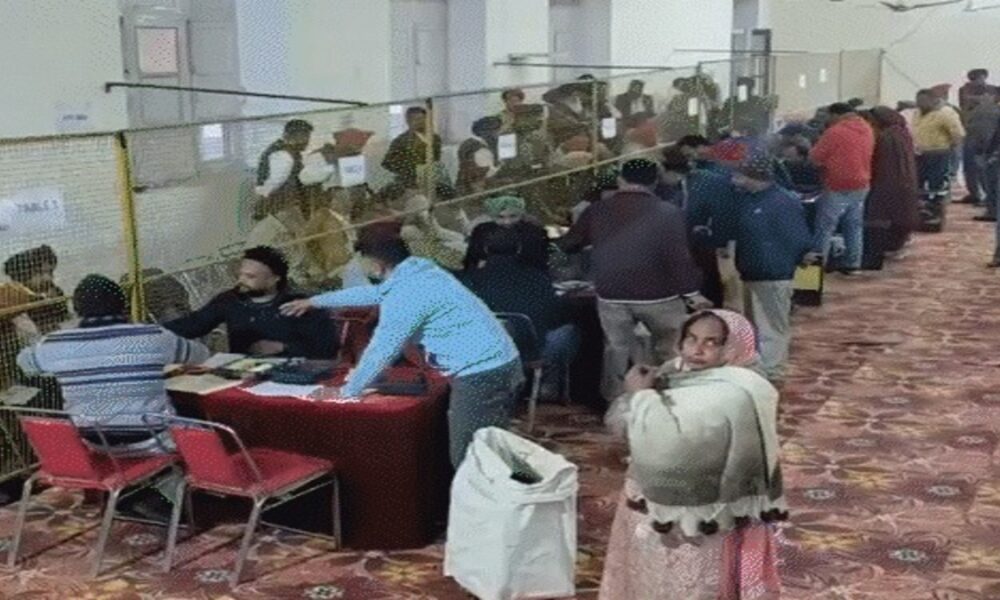 Punjab Nikay Chunav Result: जिला परिषद, पंचायत समिति चुनाव नतीजों में AAP की आंधी, कांग्रेस- अकाली पीछे