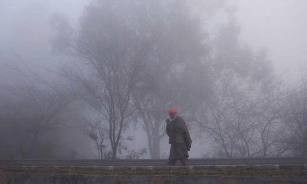 पंजाब में घने कोहरे और शीतलहर का ऑरेंज अलर्ट:चार जिलों में कोल्ड डे की संभावना, बठिंडा में सबसे कम 4.2 डिग्री तापमान