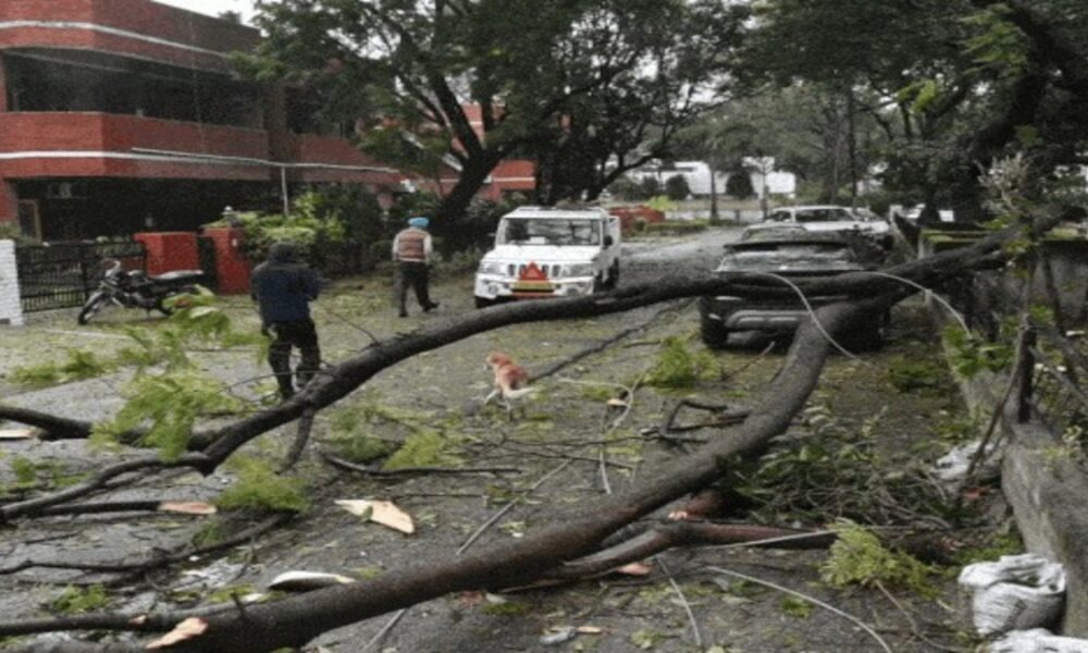 पंजाब में बारिश का अलर्ट, चंडीगढ़ में ठंड से मौत:मोहाली में 24 घंटे से बिजली गुल कई जगह यातायात ठप पंजाब में बारिश का अलर्ट, चंडीगढ़ में ठंड से मौत:मोहाली में 24 घंटे से बिजली गुल कई जगह यातायात ठप