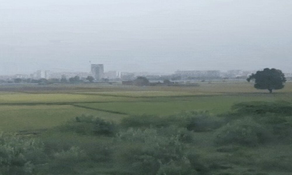 पंजाब-चंडीगढ़ में 28 फरवरी तक मौसम ड्राई:अमृतसर में कोहरा छाया, दिन में तेज धूप निकलेगी, अधिकतम तापमान बढ़ेगा