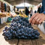 अंगूर के पीछे छिपा खतरा! कहीं आप भी तो नहीं खा रहे केमिकल से भरे फल?