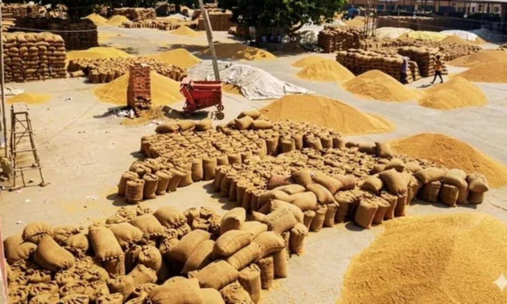Punjab में आज से गेहूं खरीद शुरू, बाहरी राज्यों से आने वाले अनाज पर रहेगी कड़ी नजर