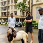 कहां दी जा सकती है बकरीद की कुर्बानी और सोसायटियों में क्यों होता है विवाद? जानिए नियम, कानून और पूरा मामला