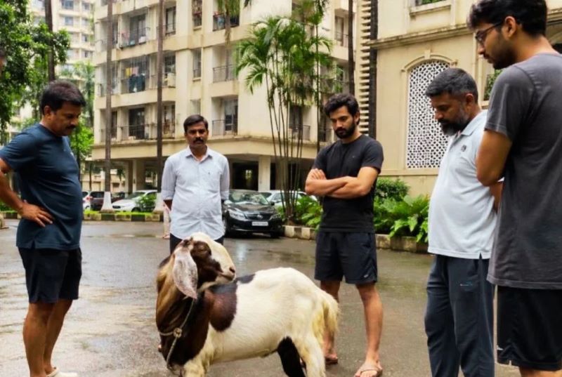 कहां दी जा सकती है बकरीद की कुर्बानी और सोसायटियों में क्यों होता है विवाद? जानिए नियम, कानून और पूरा मामला कहां दी जा सकती है बकरीद की कुर्बानी और सोसायटियों में क्यों होता है विवाद? जानिए नियम, कानून और पूरा मामला