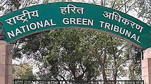 शिवालिक-कांडी बेल्ट में अवैध निर्माणों पर एनजीटी का बड़ा एक्शन, पंजाब के 5 जिलों के डीसी से मांगा पूरा हिसाब