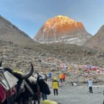 कैलास मानसरोवर यात्रा के लिए प्रशासन अलर्ट, 6 जुलाई से शुरू होगी श्रद्धालुओं की आवाजाही