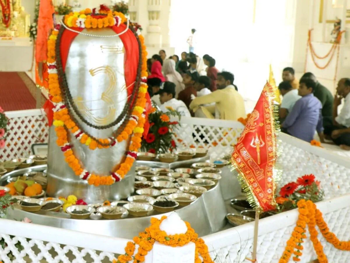 हरिद्वार में स्थापित हुआ विशाल पारद शिवलिंग, 10 वर्षों की साधना और शोध का परिणाम हरिद्वार में स्थापित हुआ विशाल पारद शिवलिंग, 10 वर्षों की साधना और शोध का परिणाम