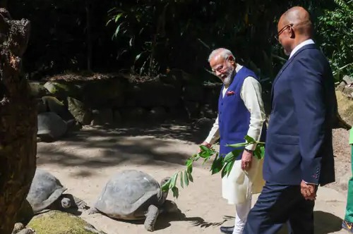 सेशेल्स दौरे पर पीएम मोदी: कछुओं को खिलाई पत्तियां, 256 साल पुराने भारत कनेक्शन पर भी दुनिया की नजर