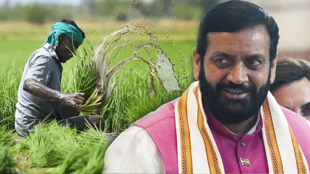 धान छोड़ने वाले किसानों को अब हर साल बढ़ेगा लाभ, पांचवें साल तक 10 हजार रुपये प्रति एकड़ देगी हरियाणा सरकार