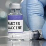 दिल्ली में मिली नकली रेबीज वैक्सीन की खेप, जांच में potency फेल; 4 लोग गिरफ्तार