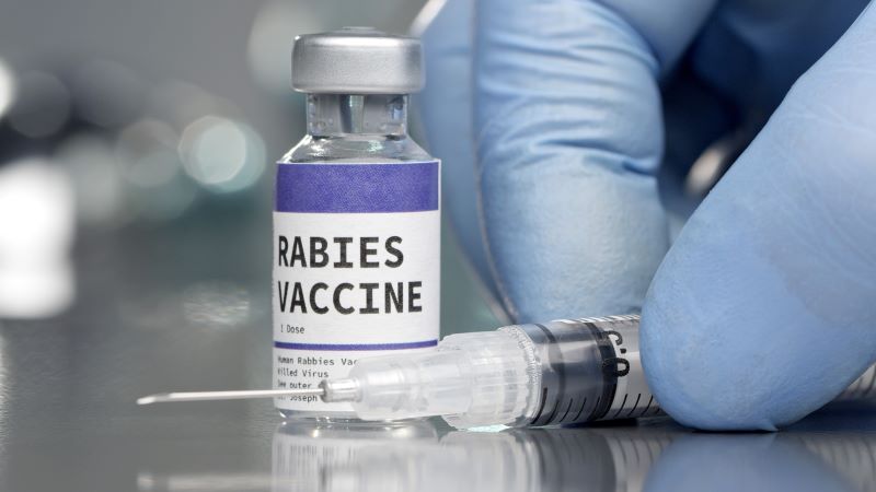 दिल्ली में मिली नकली रेबीज वैक्सीन की खेप, जांच में potency फेल; 4 लोग गिरफ्तार