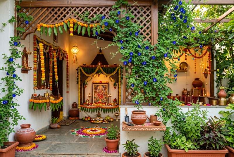 नवरात्र में घर को हरियाली से सजाएं, अपराजिता की बेल से खिलेंगे नीले फूल; जानें पौधा लगाने से लेकर देखभाल तक के जरूरी नियम
