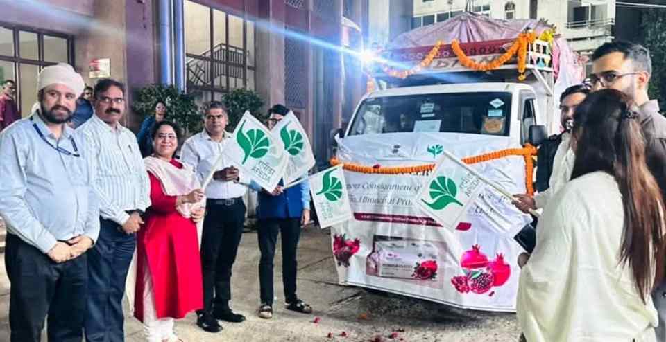 कुल्लू के सिंदूरी अनार की दुबई में दस्तक, 600 किसानों के लिए खुलेगा विदेशी बाजार का रास्ता