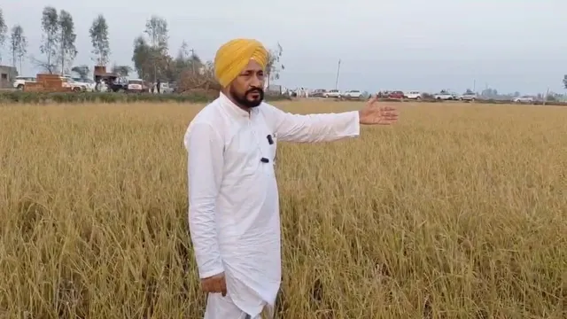 ओलावृष्टि से बर्बाद फसलों का मुआवजा तुरंत दे सरकार: चन्नी, खेत मजदूरों के लिए भी मांगी राहत